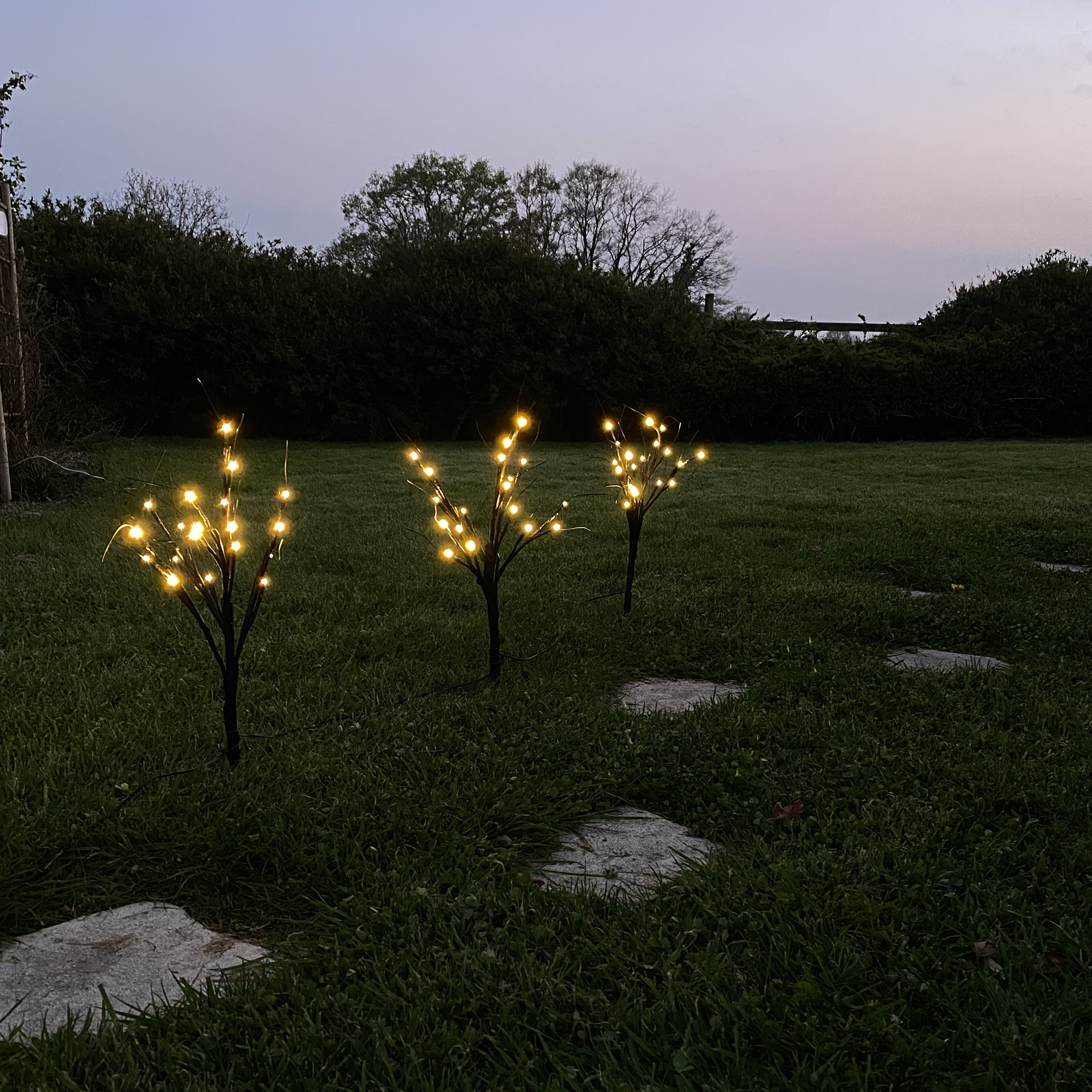 Piquets brindilles à planter